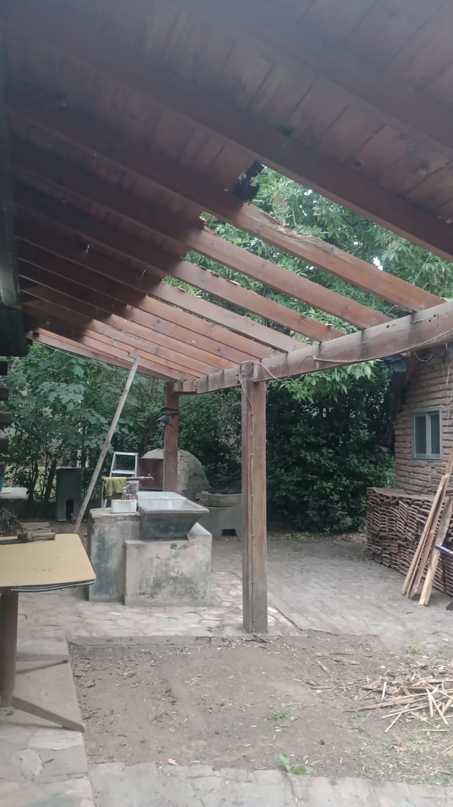 WhatsApp Image 2024-11-24 at 20.19.24.jpeg